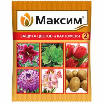 maksim-amp4ml